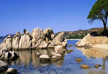 3377体育：尤文客战卡利亚里：弗拉霍维奇、伊尔迪兹首发，洛卡特利出战.